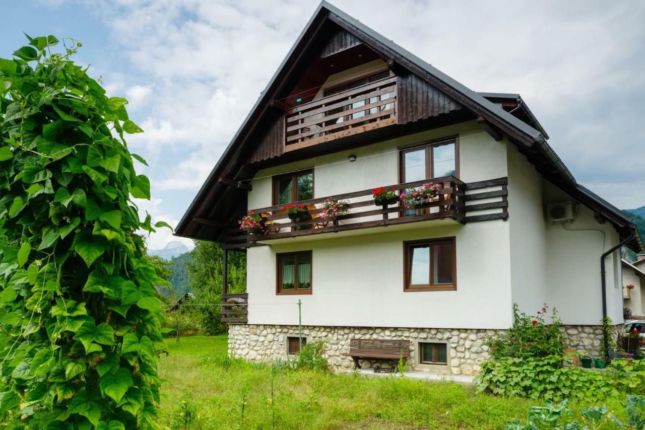 Apartment Mlakar Bohinj Exterior foto